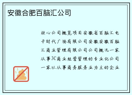 安徽合肥百脑汇公司